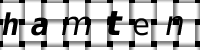CAPTCHA 画像