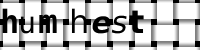 CAPTCHA 画像